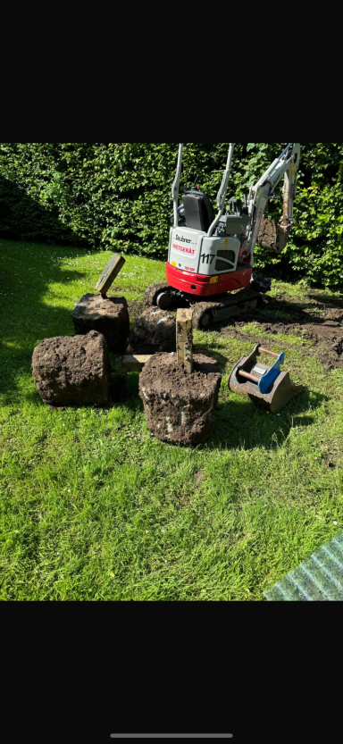Ein Rasenstück mit mehreren Baumstümpfen und einer kleinen Maschine zur Gartenarbeit.